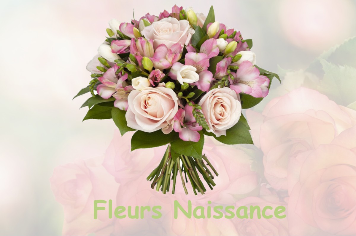 fleurs naissance LA-PENNE